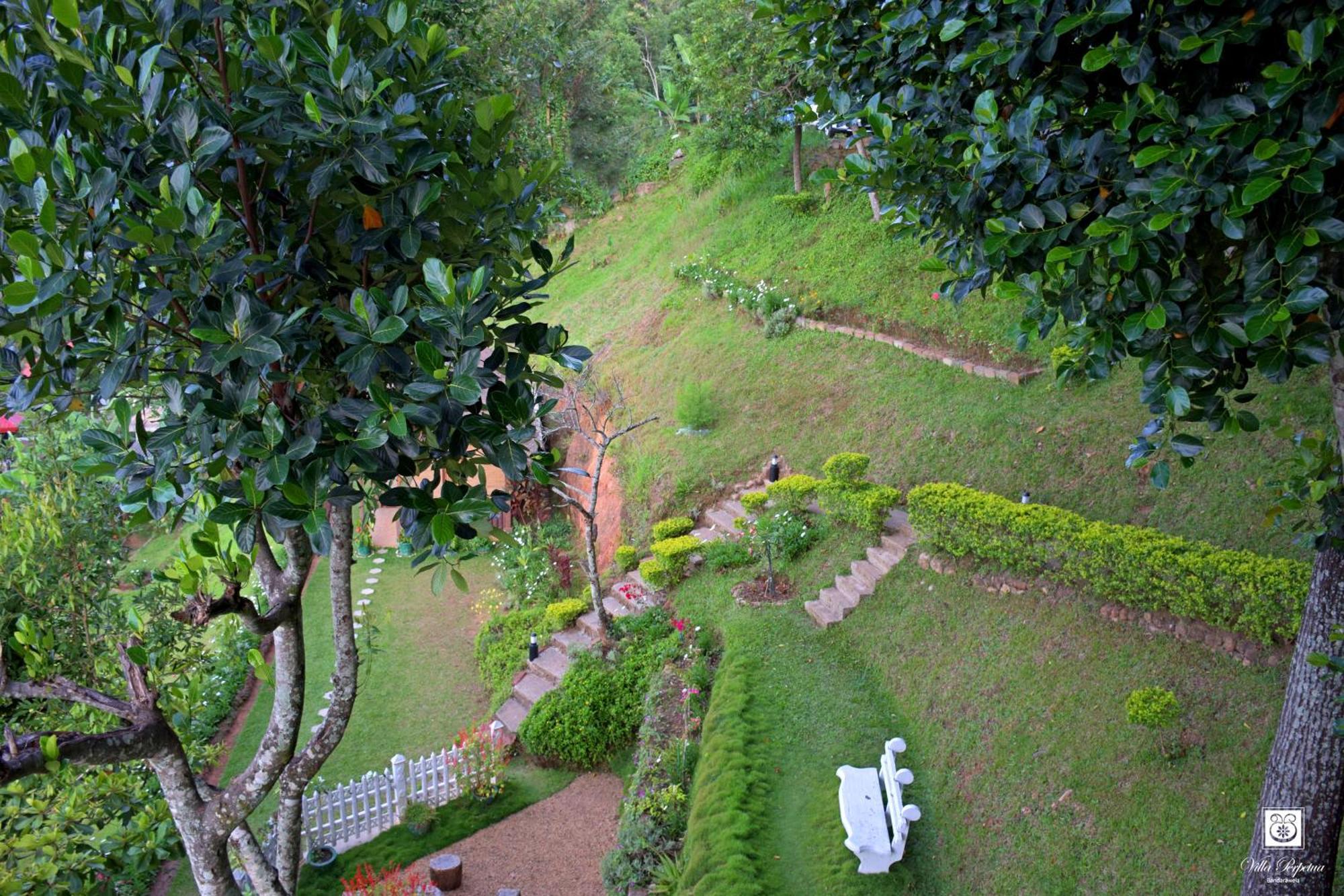 Villa Perpetua Bandarawela Zewnętrze zdjęcie