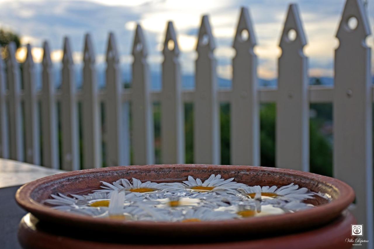 Villa Perpetua Bandarawela Zewnętrze zdjęcie